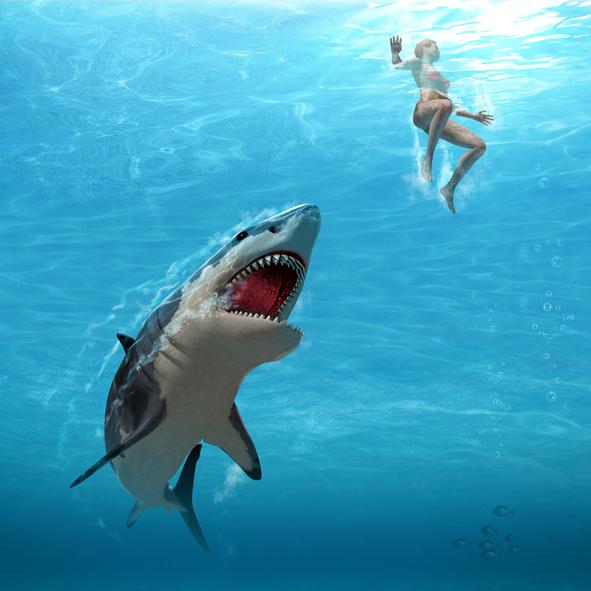Qué significa soñar con tiburones - Qué significa soñar con tiburones que atacan 